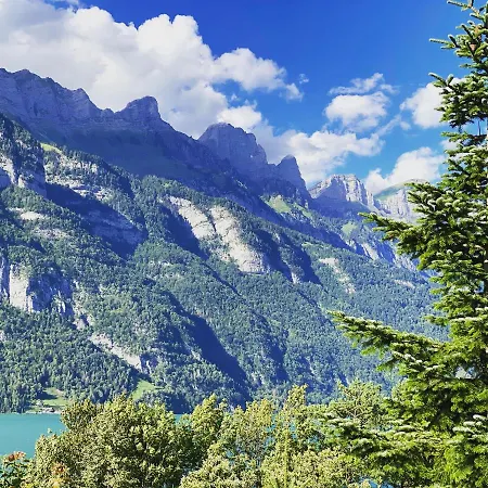 فندق Seeblick Smart Roessli *