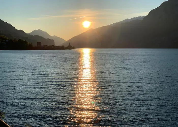 Seeblick Smart Roessli *