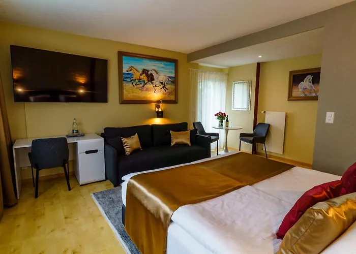 Seeblick Smart Roessli Hotel *