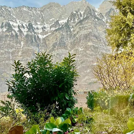 Seeblick Smart Roessli