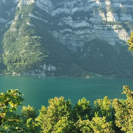 Seeblick Smart Roessli * Murg