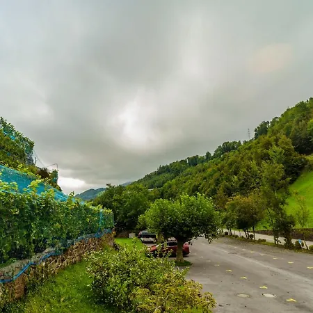 Seeblick Smart Roessli