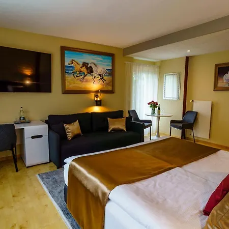 Seeblick Smart Roessli Hotel *