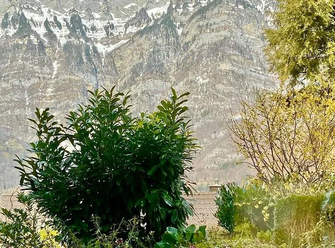 Seeblick Smart Roessli