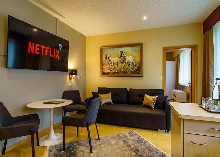 Seeblick Smart Roessli 酒店 *