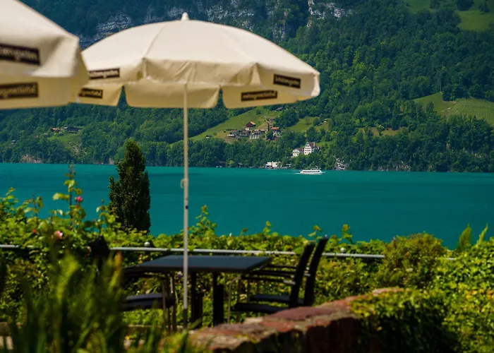 Seeblick Smart Roessli *